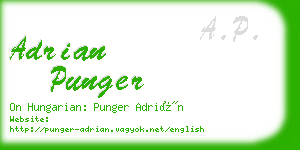 adrian punger business card